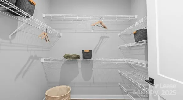 $3,295 | 1711 Commonwealth Avenue, Unit B1, Charlotte, NC 28205