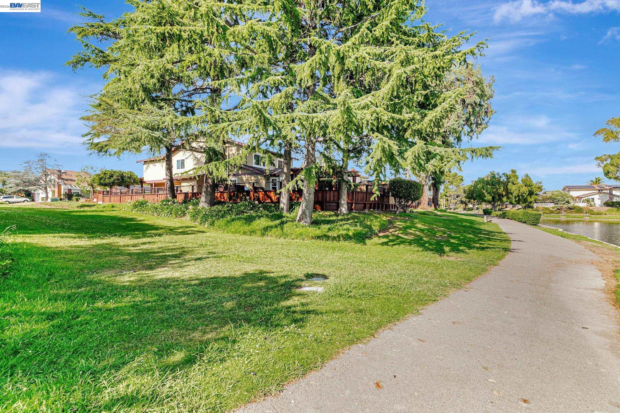 5136 Ramsgate Drive Newark, CA 94560 - Photo 51 of 59 a view of a park with large trees