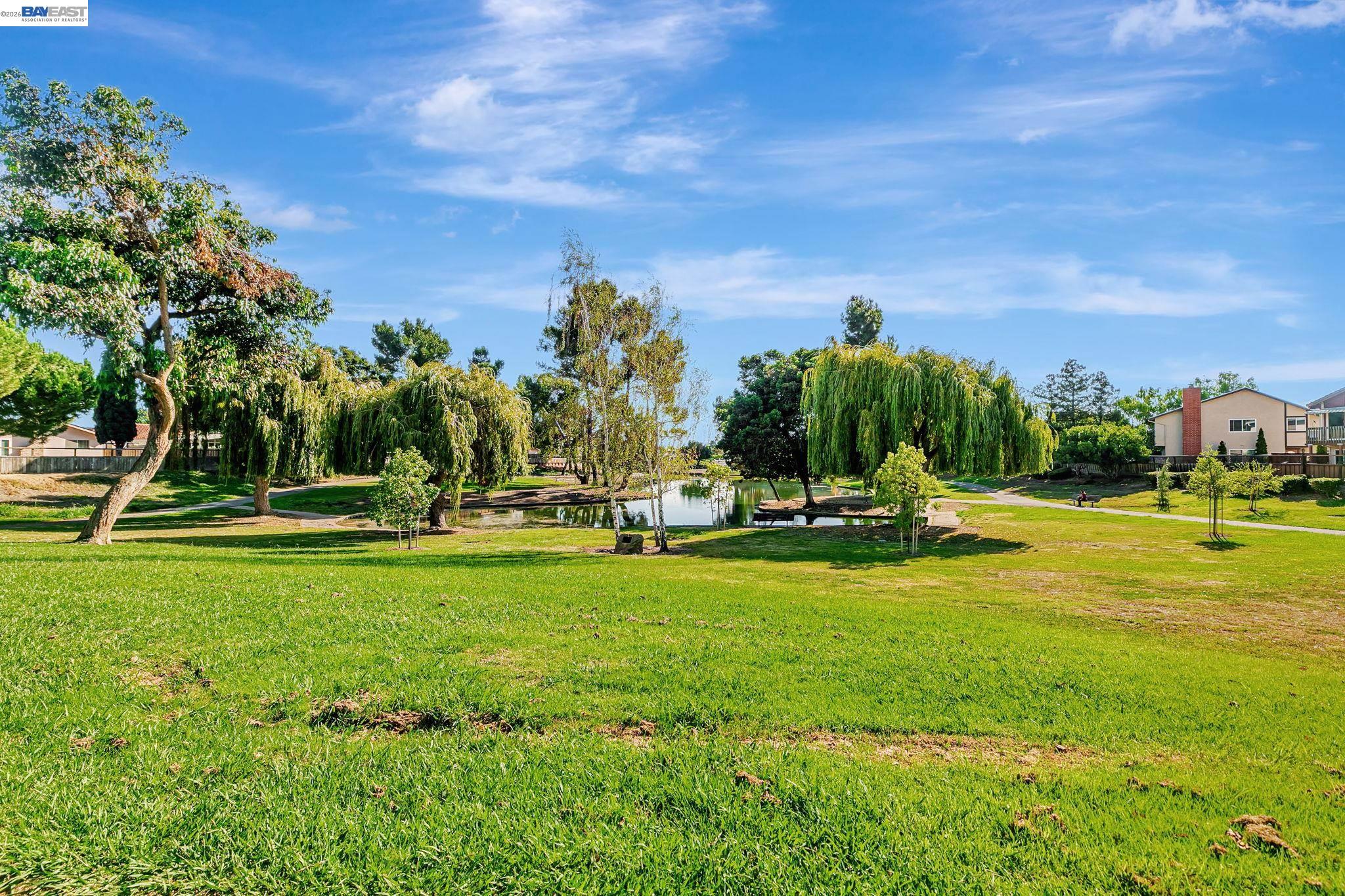 5136 Ramsgate Drive Newark, CA 94560 - Photo 56 of 59 a view of a swimming pool with a big yard and palm trees