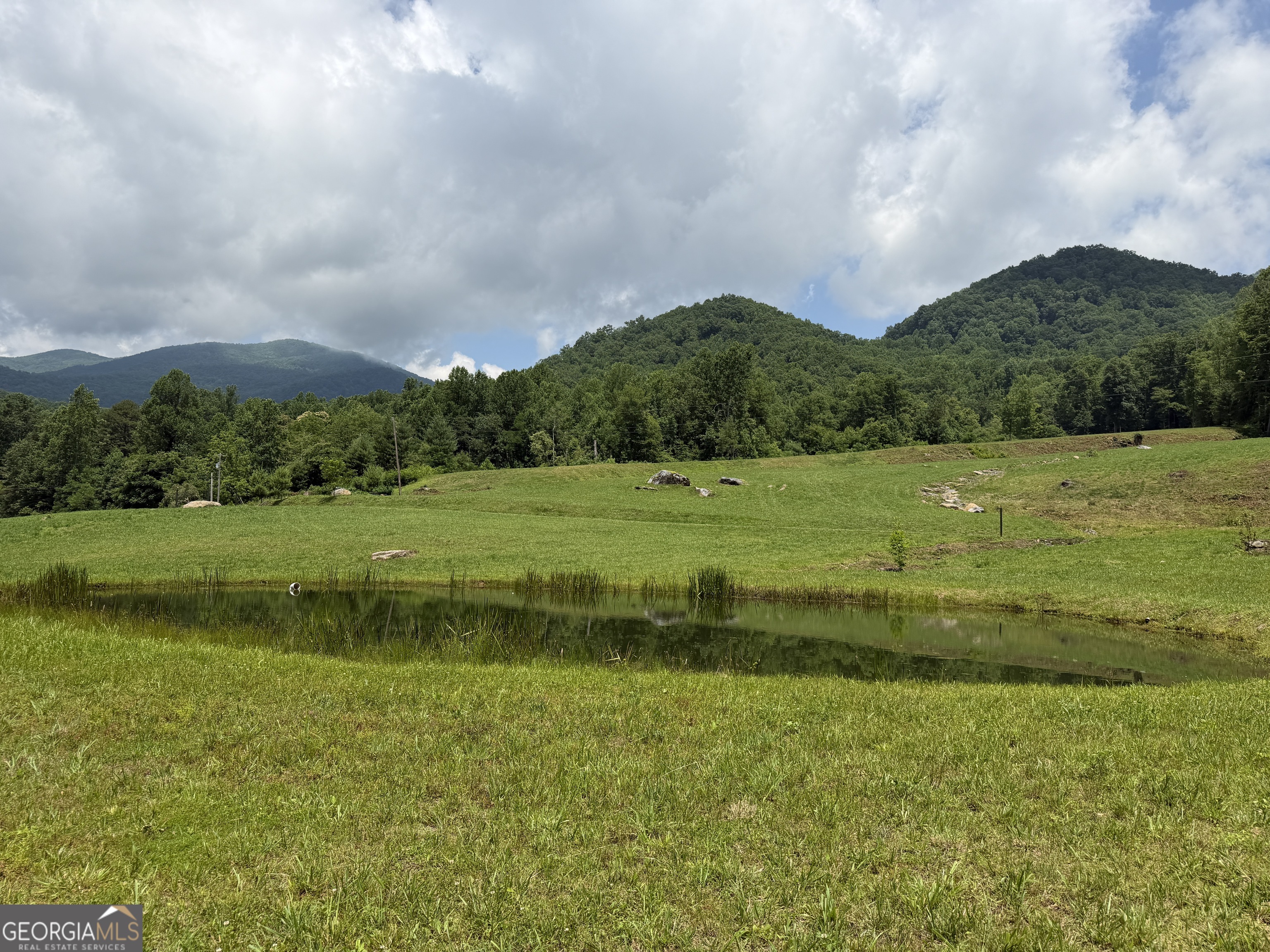1449 Muskrat Creek Road Hayesville, NC 28904 - Photo 64 of 95