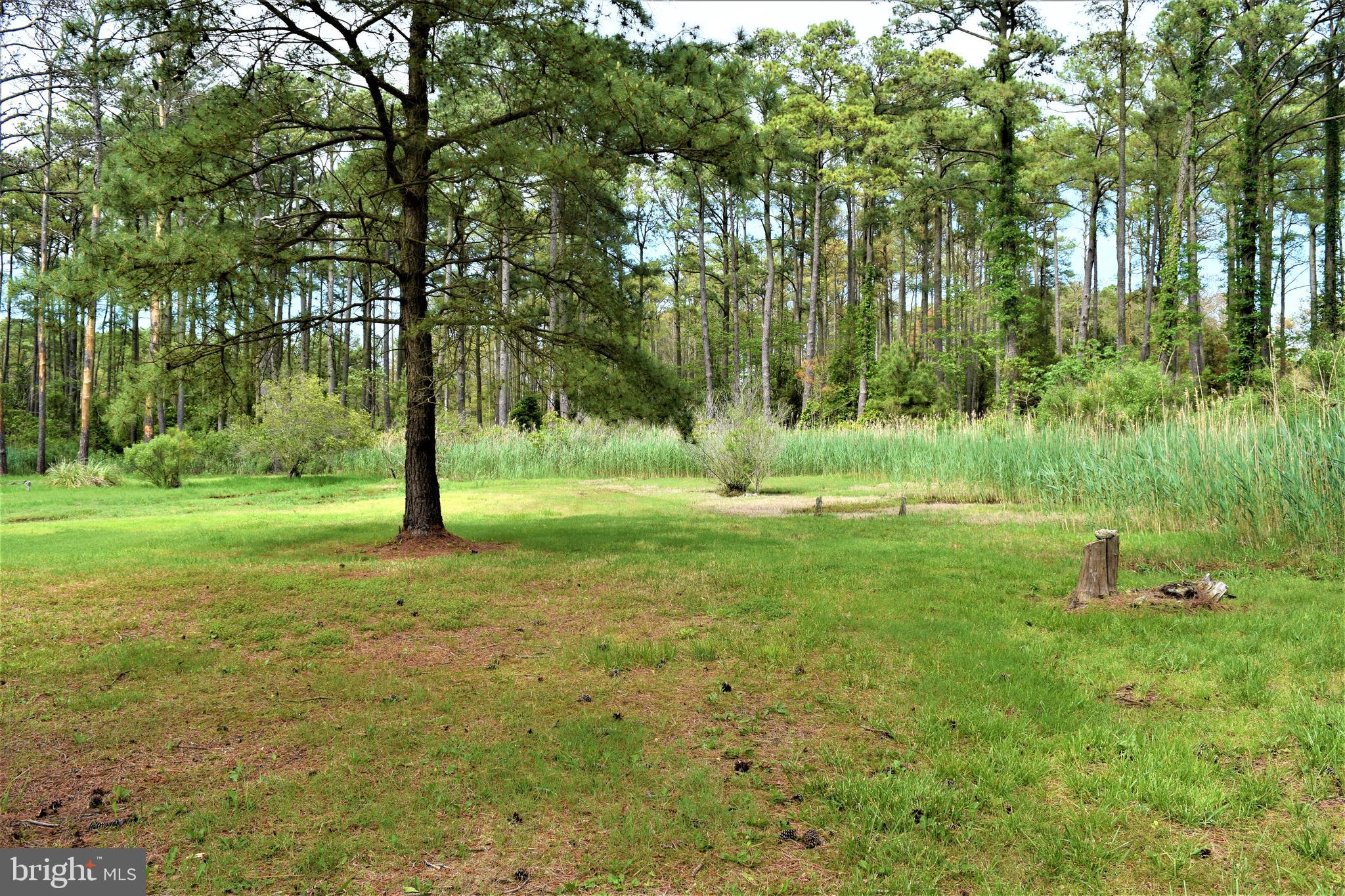 3296 Sackertown Road Crisfield, MD 21817 - Photo 11 of 39 Gallery Image 11