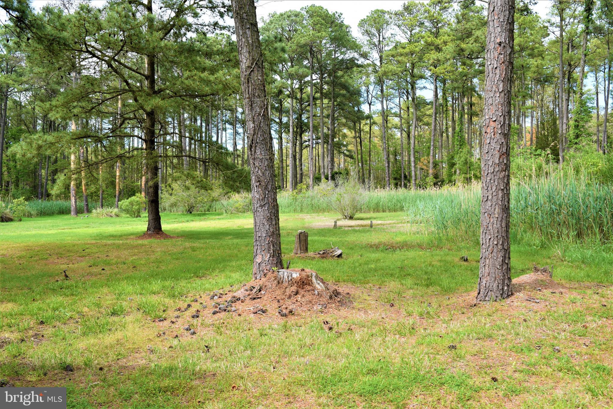 3296 Sackertown Road Crisfield, MD 21817 - Photo 10 of 39 Gallery Image 10