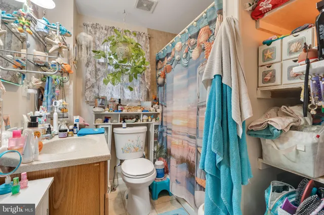 a bathroom with a sink a toilet and shower curtain