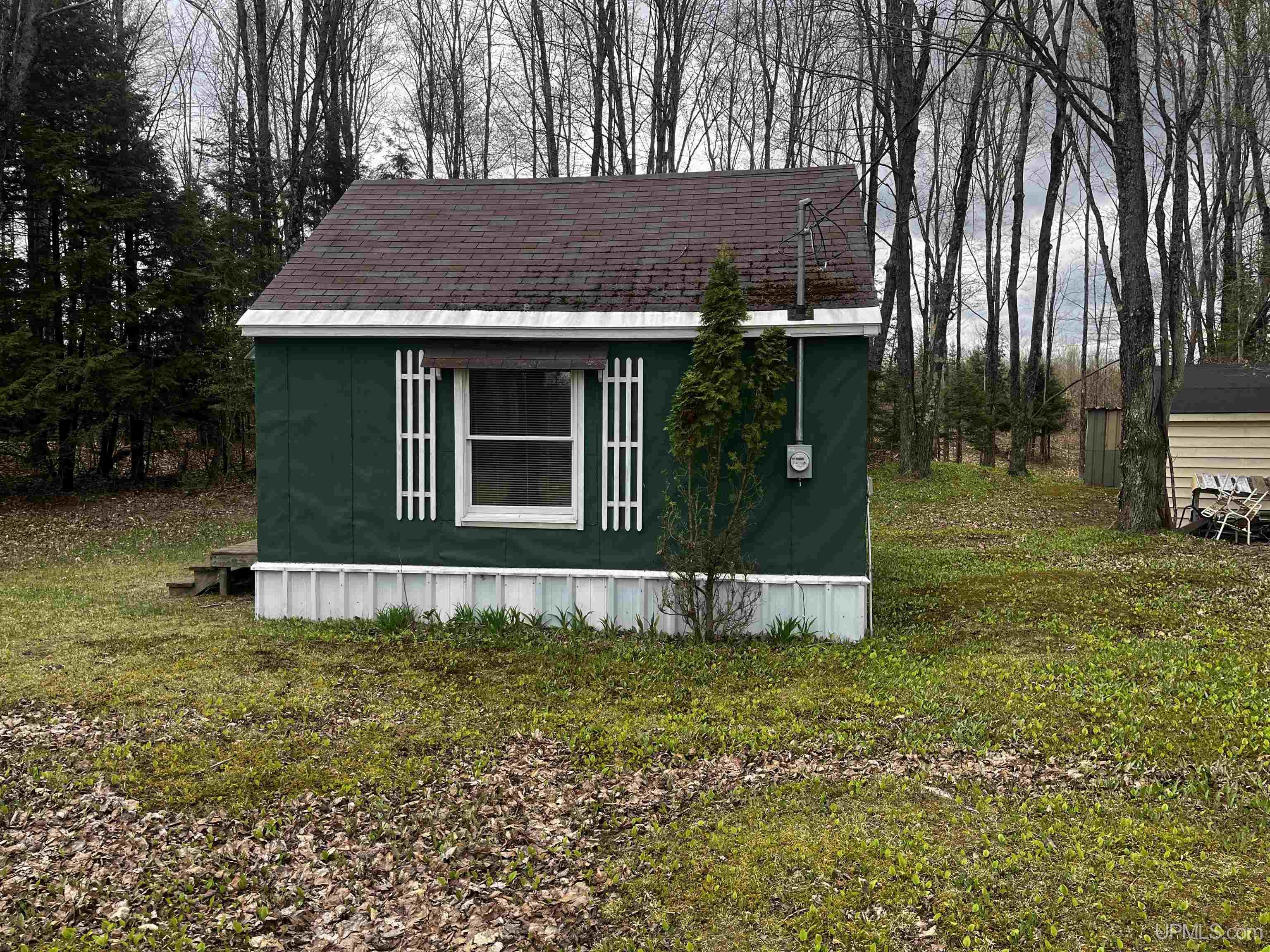 3946 East Storm Road Chatham, MI 49816 - Photo 3 of 37