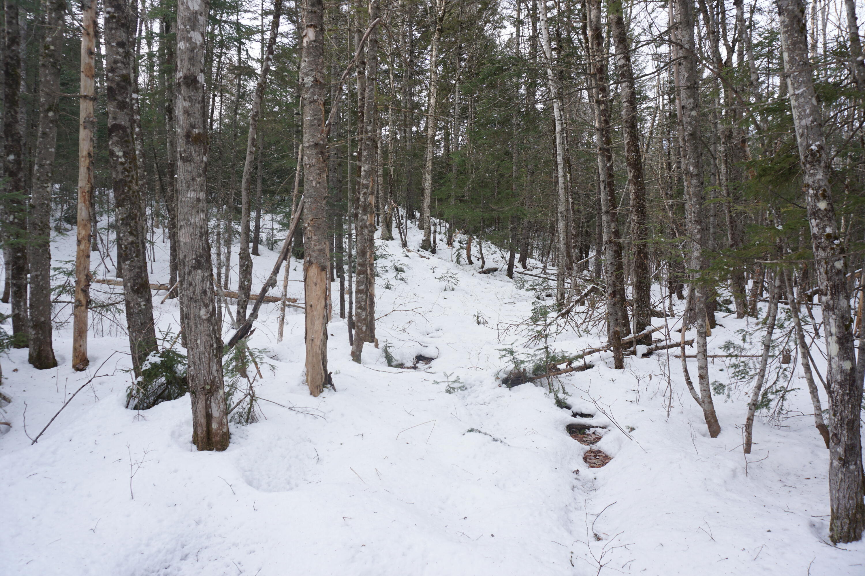 1 Redding Road Sumner, ME 04292 - Photo 17 of 21