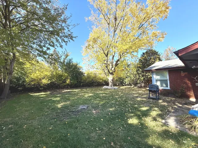a view of a tree in the middle of a yard