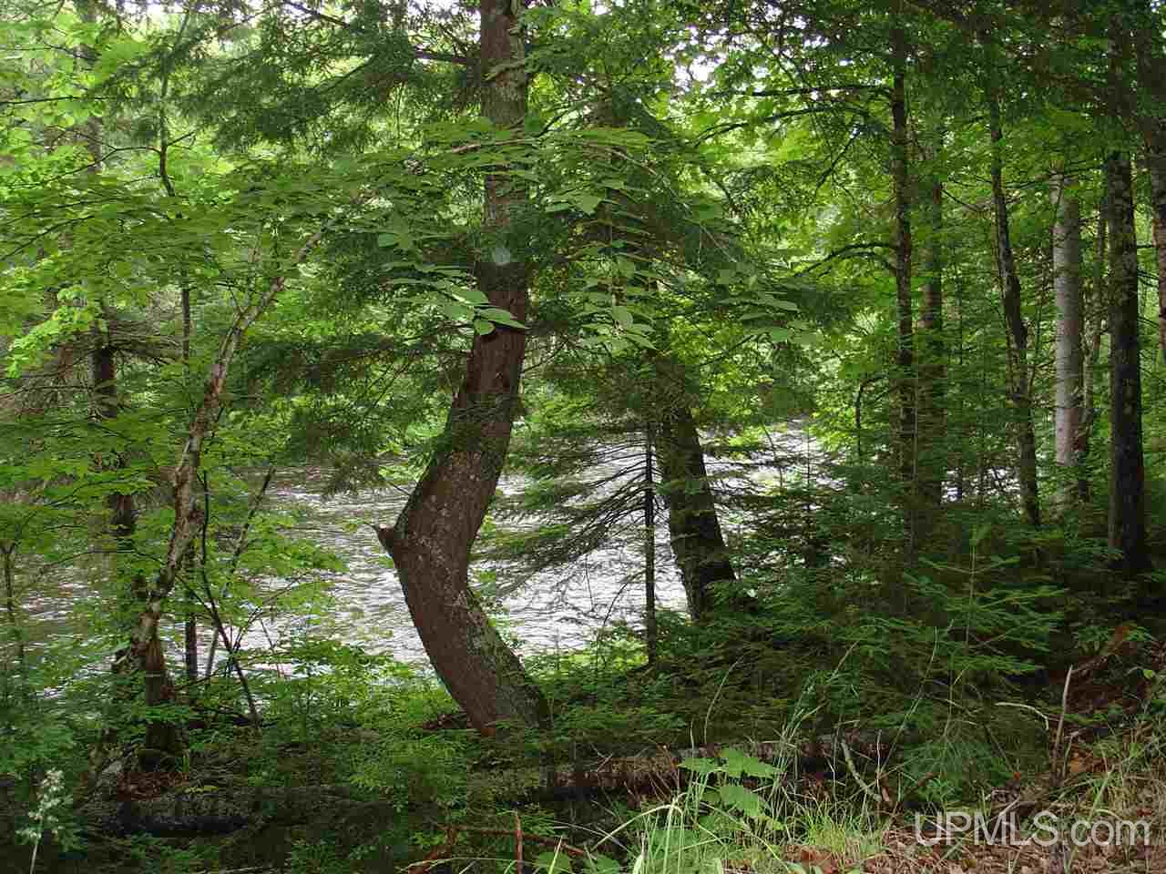 Off Ethelwood Grade Road Marenisco, MI 49947 - Photo 6 of 12