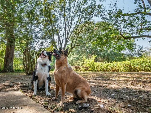 $165,000 | 2617 Belmont Road, Sardis, MS 38666