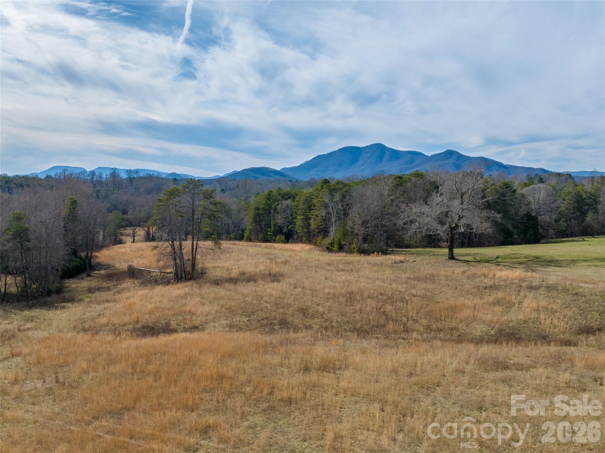 Lot 48.1 A R Thompson Road Mill Spring, NC 28756 - Photo 12 of 22 a view of a dry yard with mountain view