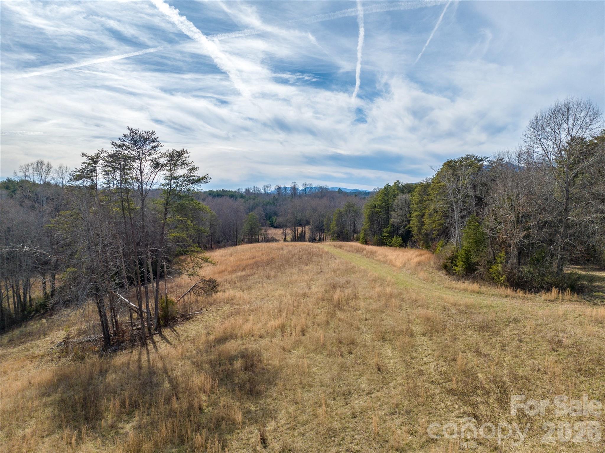 Lot 48.1 A R Thompson Road Mill Spring, NC 28756 - Photo 13 of 22 a view of a dry yard with wooden fence