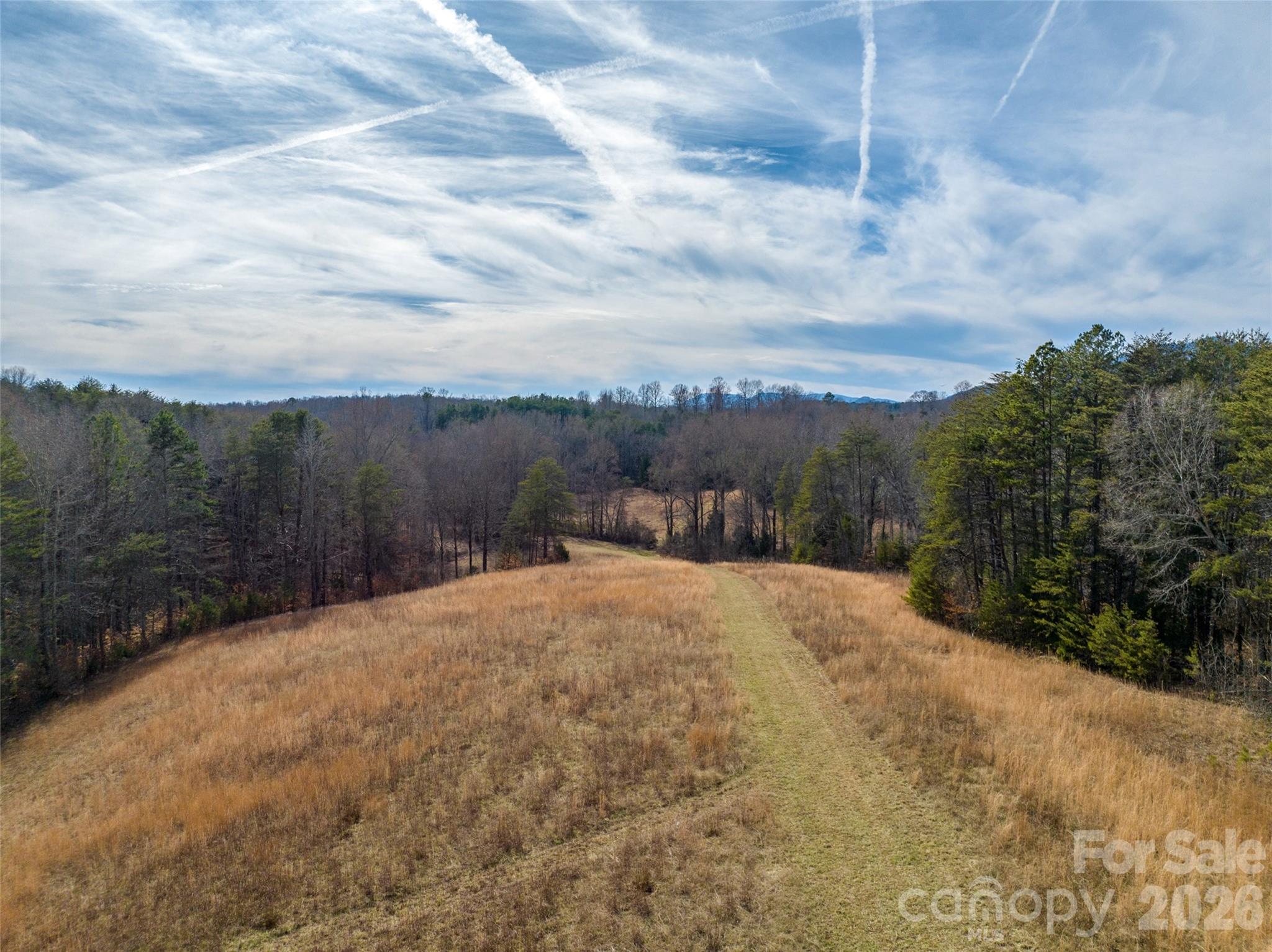 Lot 48.1 A R Thompson Road Mill Spring, NC 28756 - Photo 14 of 22 a pathway with a yard