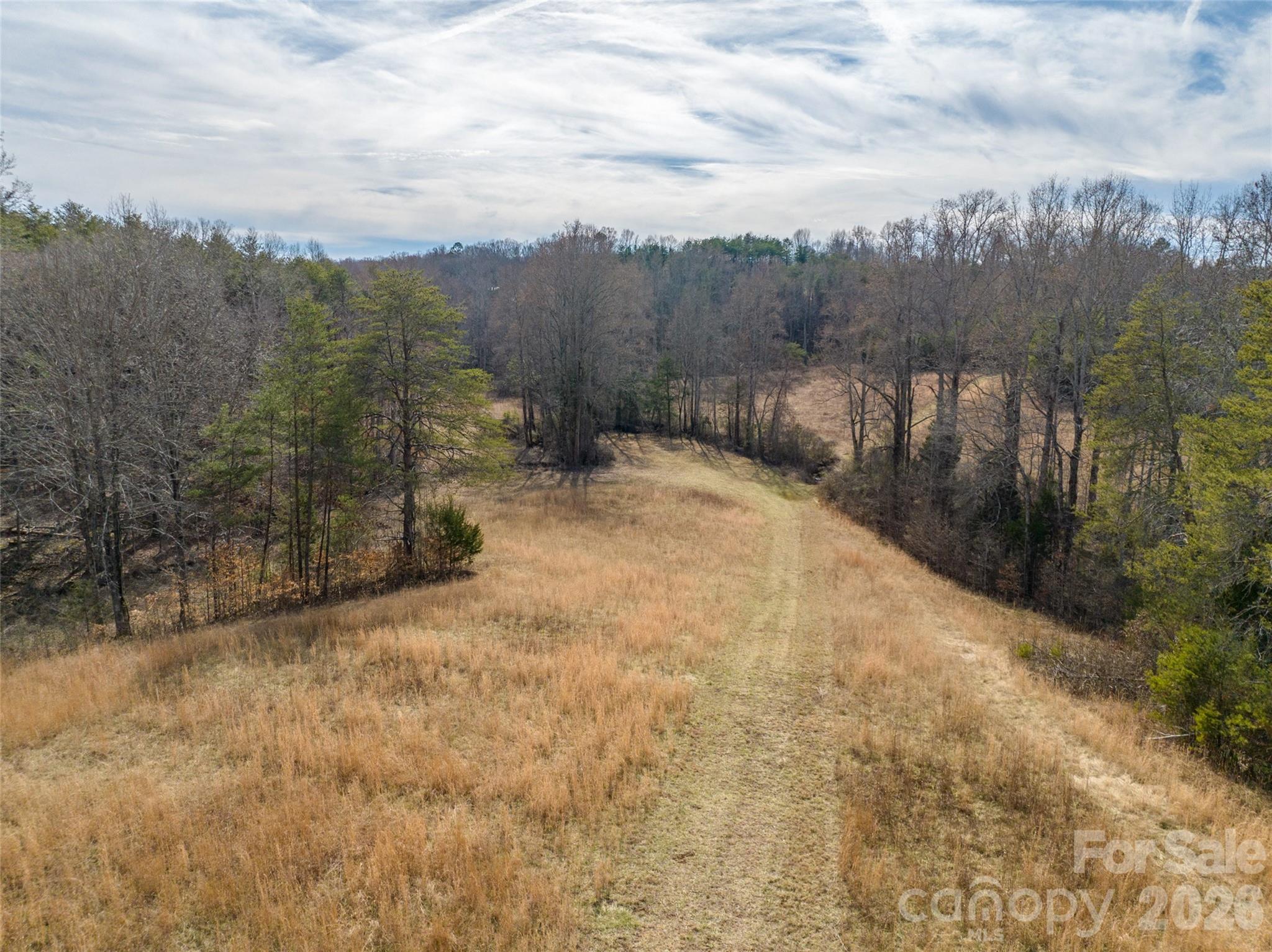 Lot 48.1 A R Thompson Road Mill Spring, NC 28756 - Photo 15 of 22 a view of a outdoor space