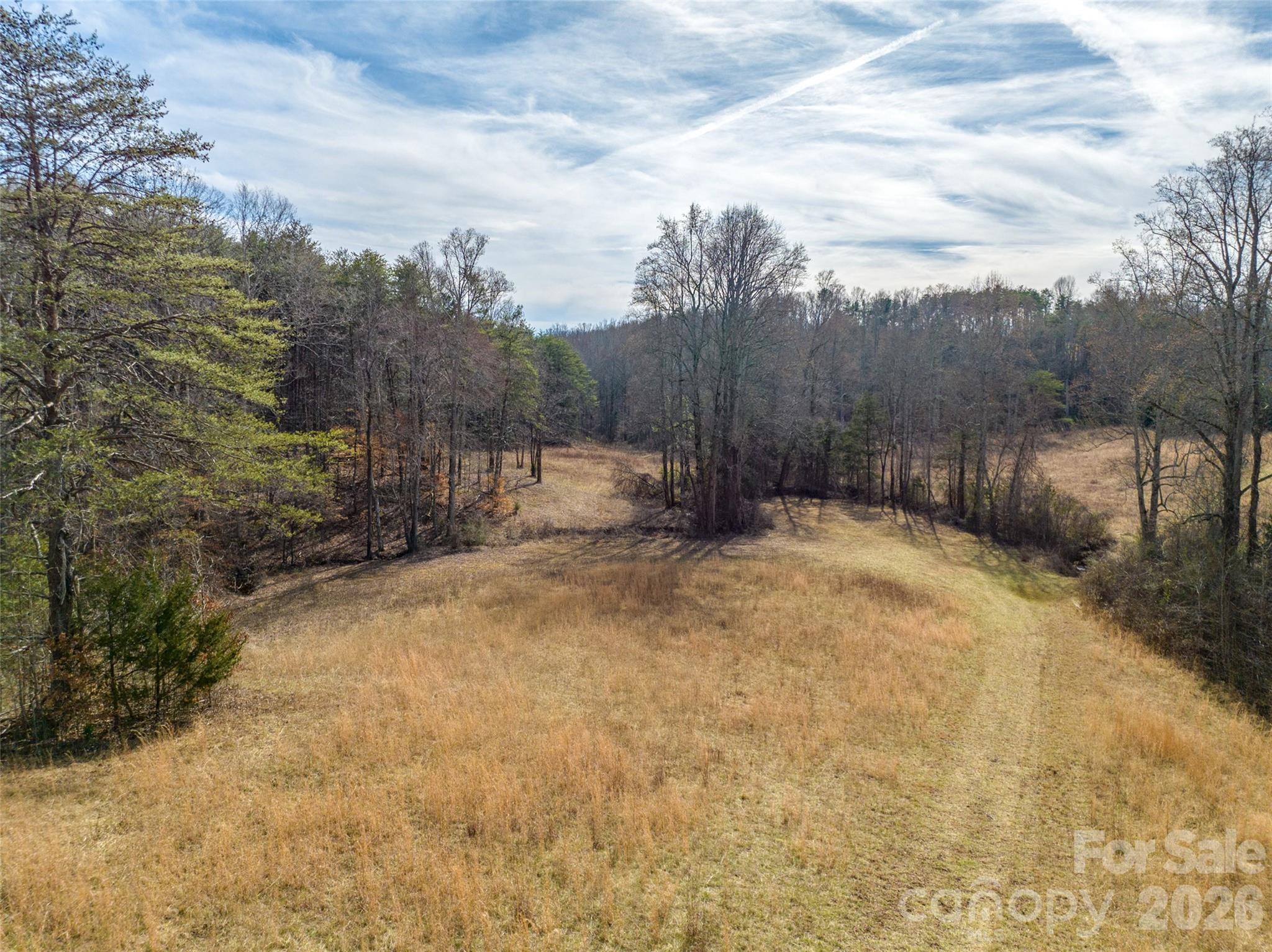 Lot 48.1 A R Thompson Road Mill Spring, NC 28756 - Photo 16 of 22 a view of a backyard of the house