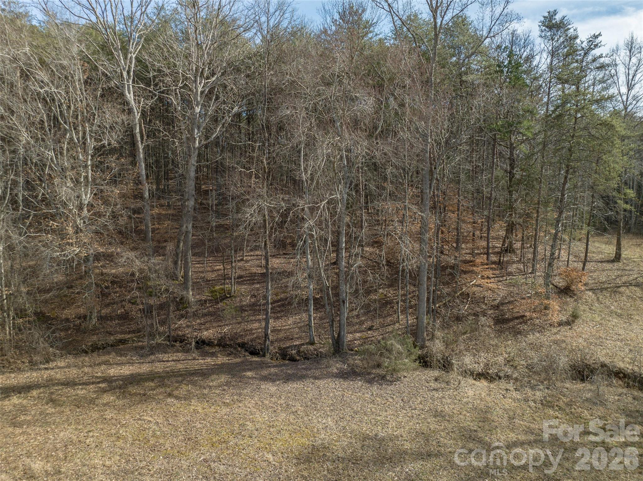 Lot 48.1 A R Thompson Road Mill Spring, NC 28756 - Photo 18 of 22 a view of a dry yard with trees