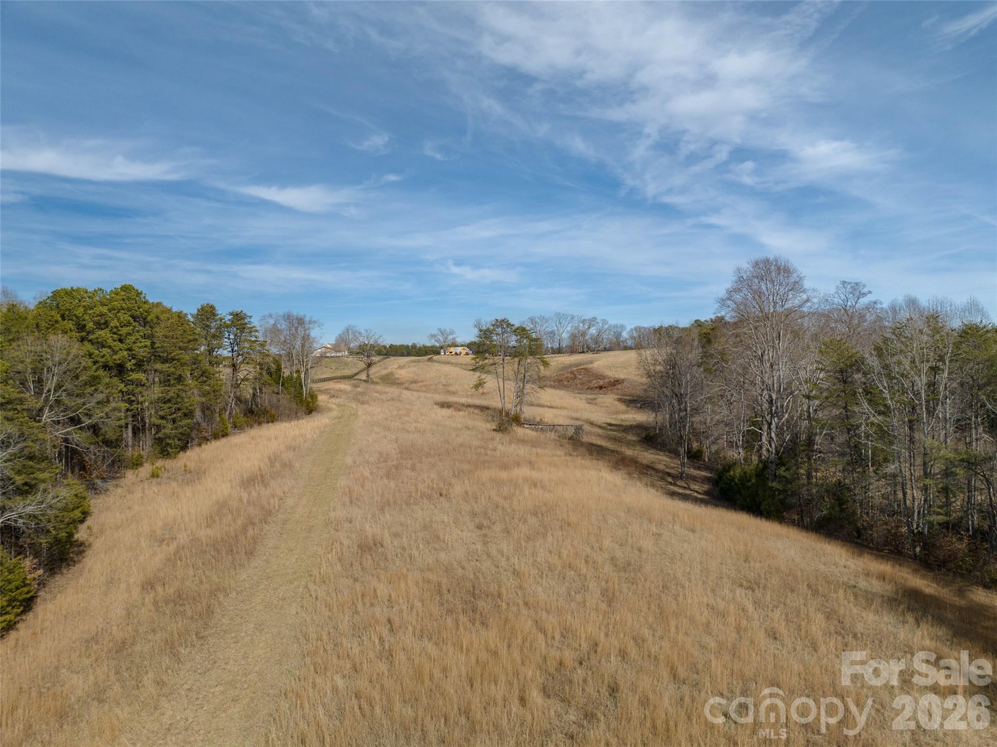 Lot 48.1 A R Thompson Road Mill Spring, NC 28756 - Photo 19 of 22 a view of a field with trees in background