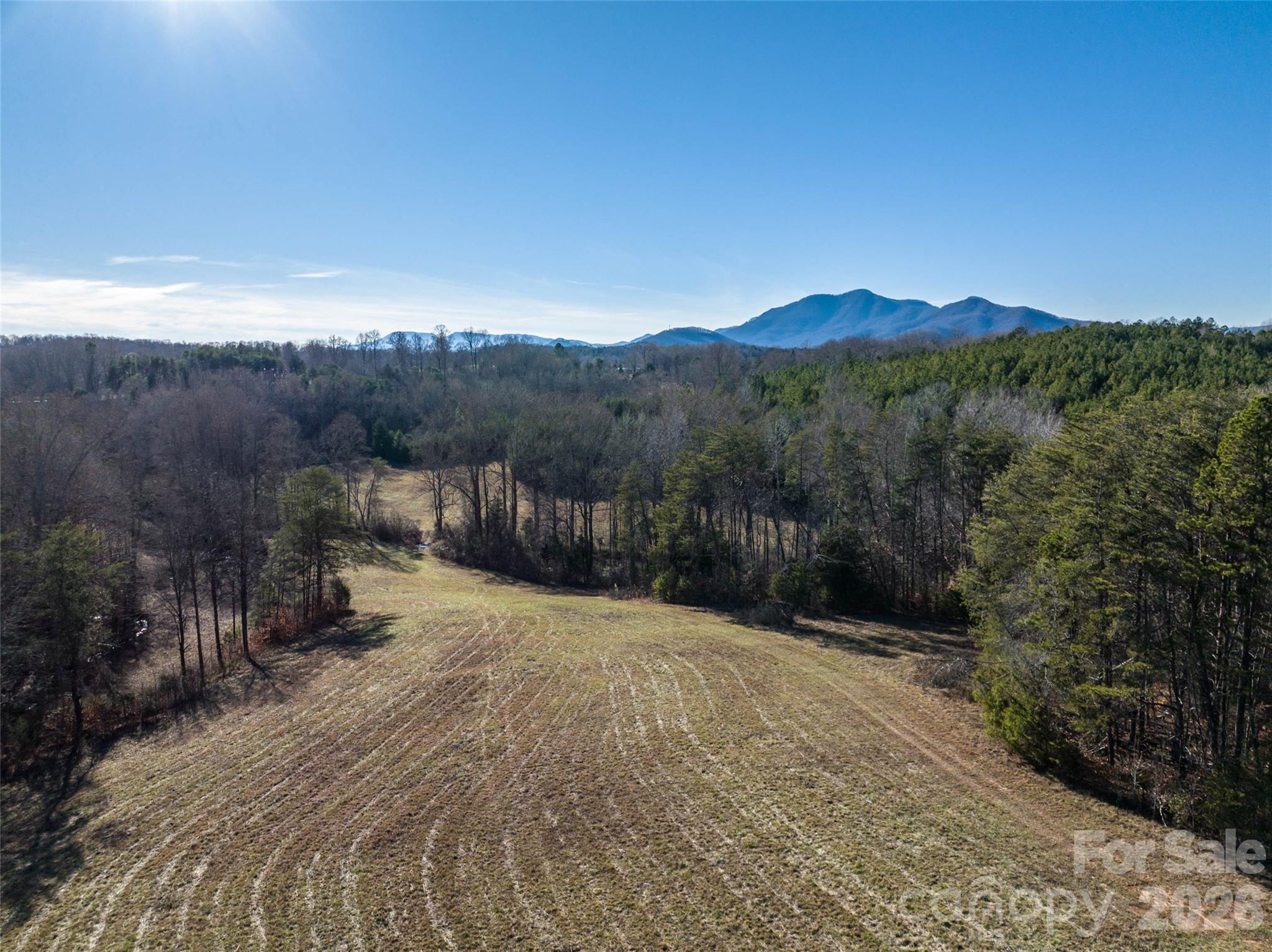 Lot 48.1 A R Thompson Road Mill Spring, NC 28756 - Photo 2 of 22 a view of a back yard