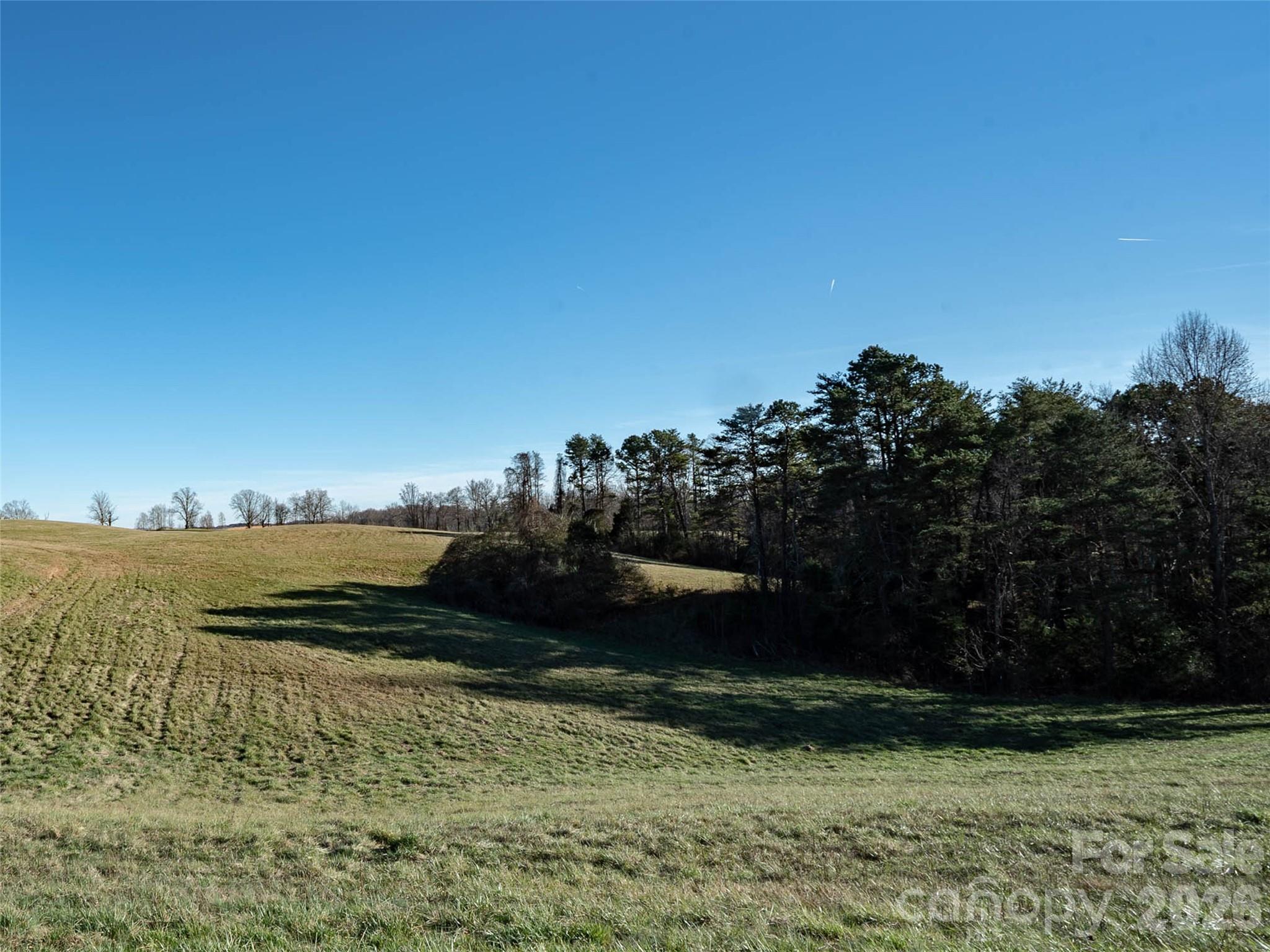 Lot 48.1 A R Thompson Road Mill Spring, NC 28756 - Photo 3 of 22 a view of a lake