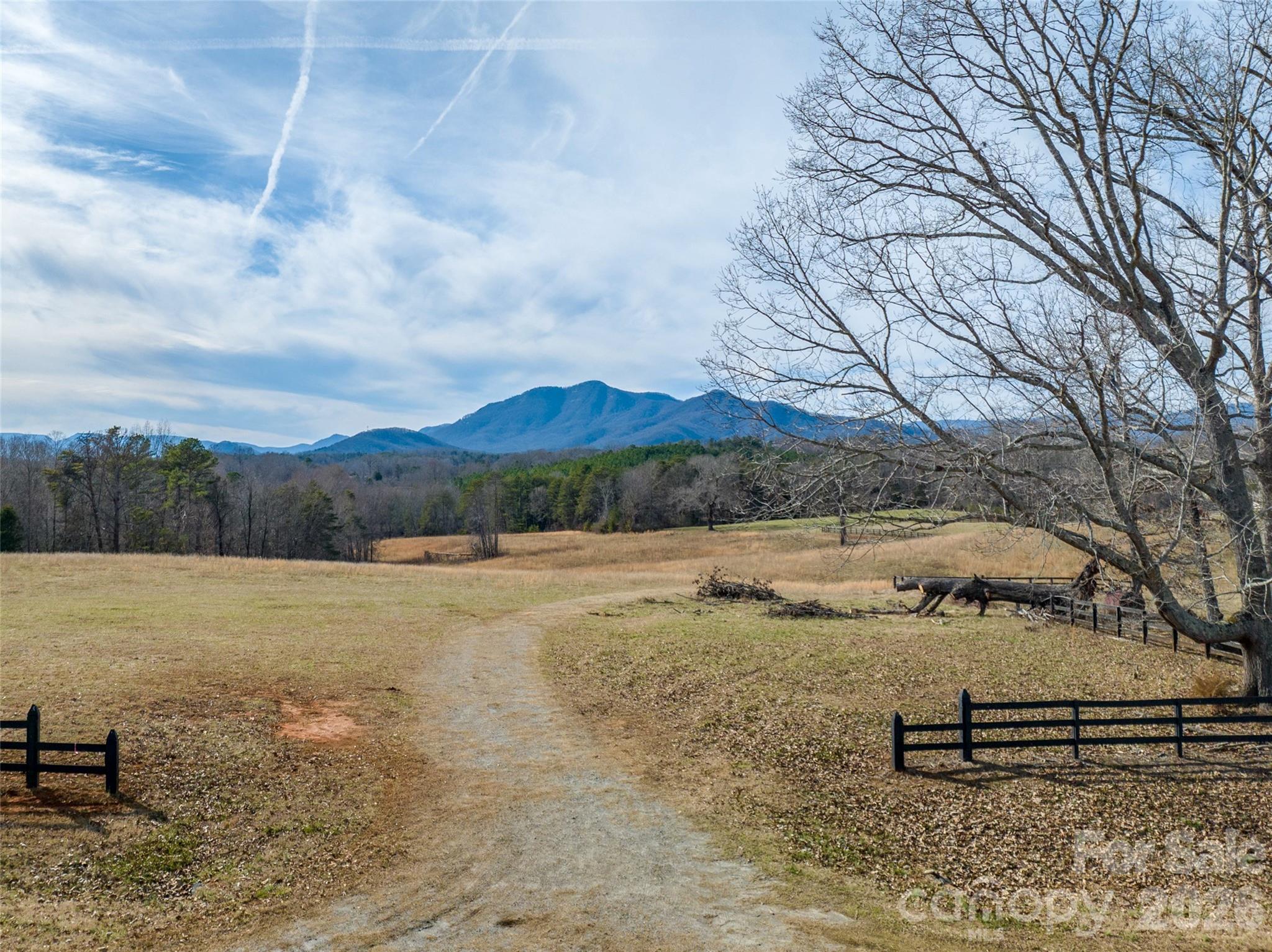 Lot 48.1 A R Thompson Road Mill Spring, NC 28756 - Photo 8 of 22 a backyard of a house with lots of green space
