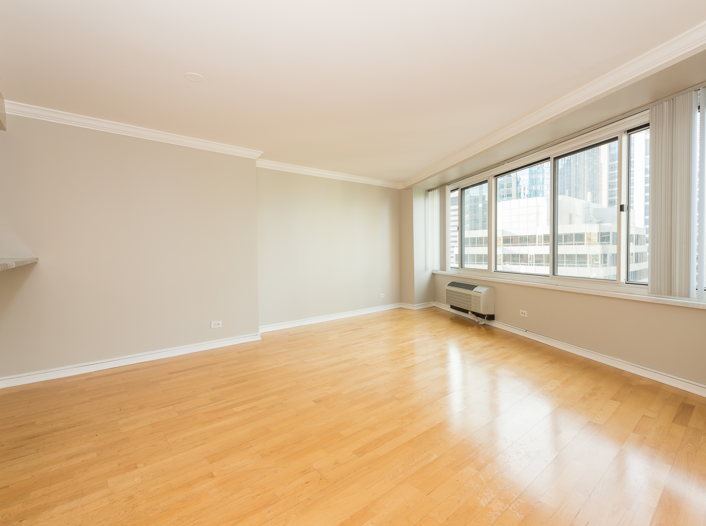 211 East Ohio Street, Unit 2402 Chicago, IL 60611 - Photo 3 of 22
