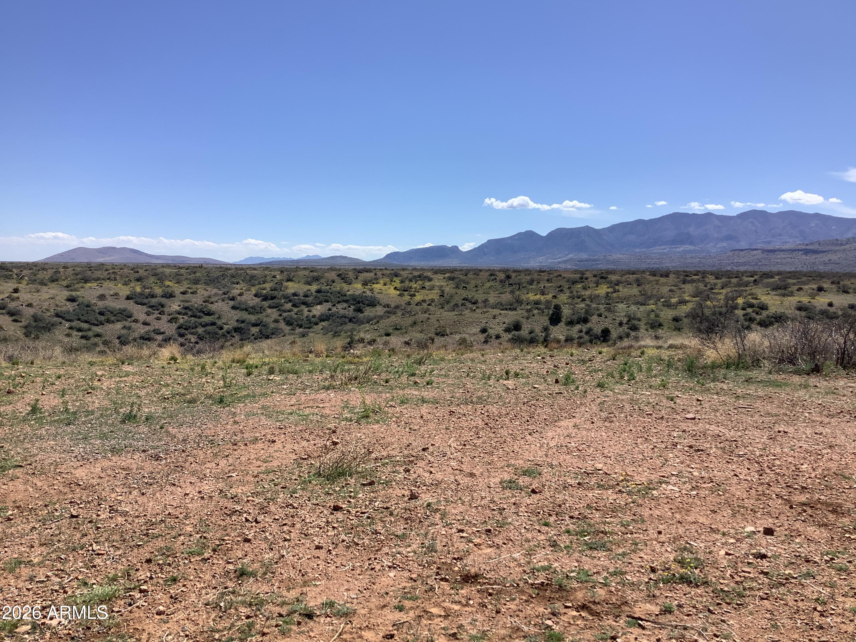 40.00-ac South Highpoint Rnch Road, Unit 307 Willcox, AZ 85643 - Photo 6 of 34 IMG_1992