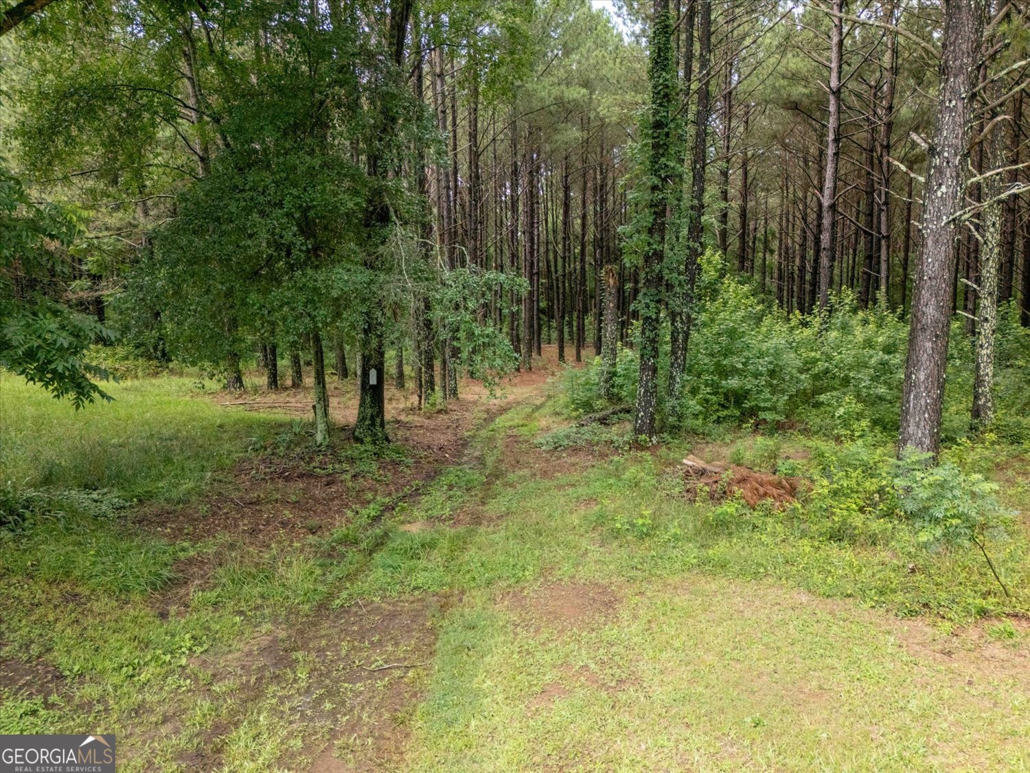 3328 Lundberg Road Washington, GA 30673 - Photo 10 of 19