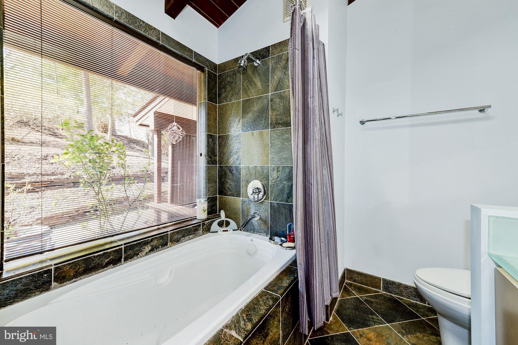 981 Saigon Road McLean, VA 22102 - Photo 28 of 46 Master bath jetted tub/shower