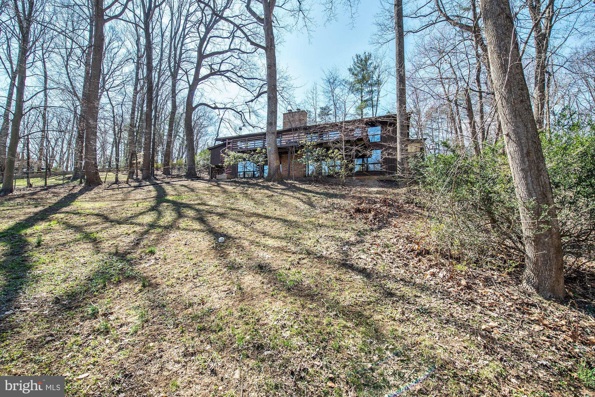 981 Saigon Road McLean, VA 22102 - Photo 46 of 46 Back yard