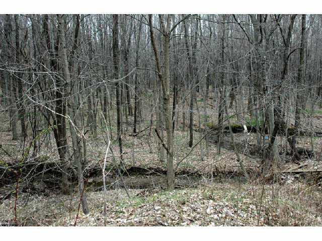 7995 Township Road 87 Road Bellville, OH 44813 - Photo 2 of 8