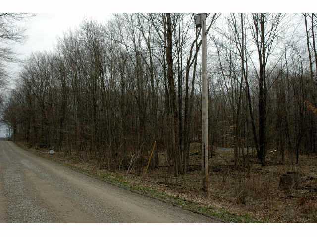 7995 Township Road 87 Road Bellville, OH 44813 - Photo 3 of 8