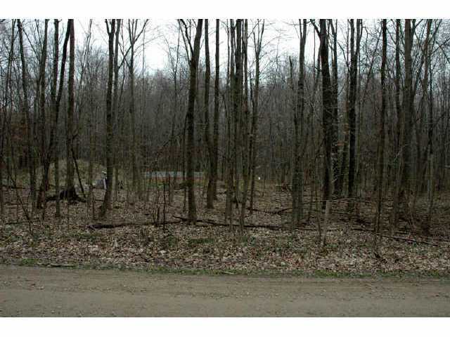 7995 Township Road 87 Road Bellville, OH 44813 - Photo 5 of 8