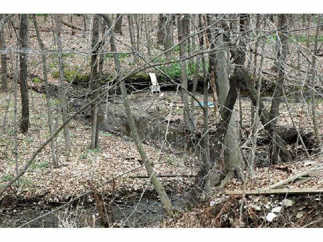 7995 Township Road 87 Road Bellville, OH 44813 - Photo 6 of 8