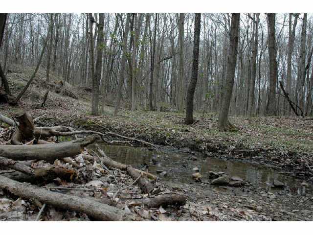 7995 Township Road 87 Road Bellville, OH 44813 - Photo 8 of 8