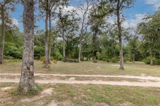 a view of a yard with a tree