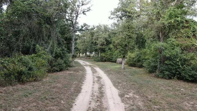a view of a dirt road with trees in the background