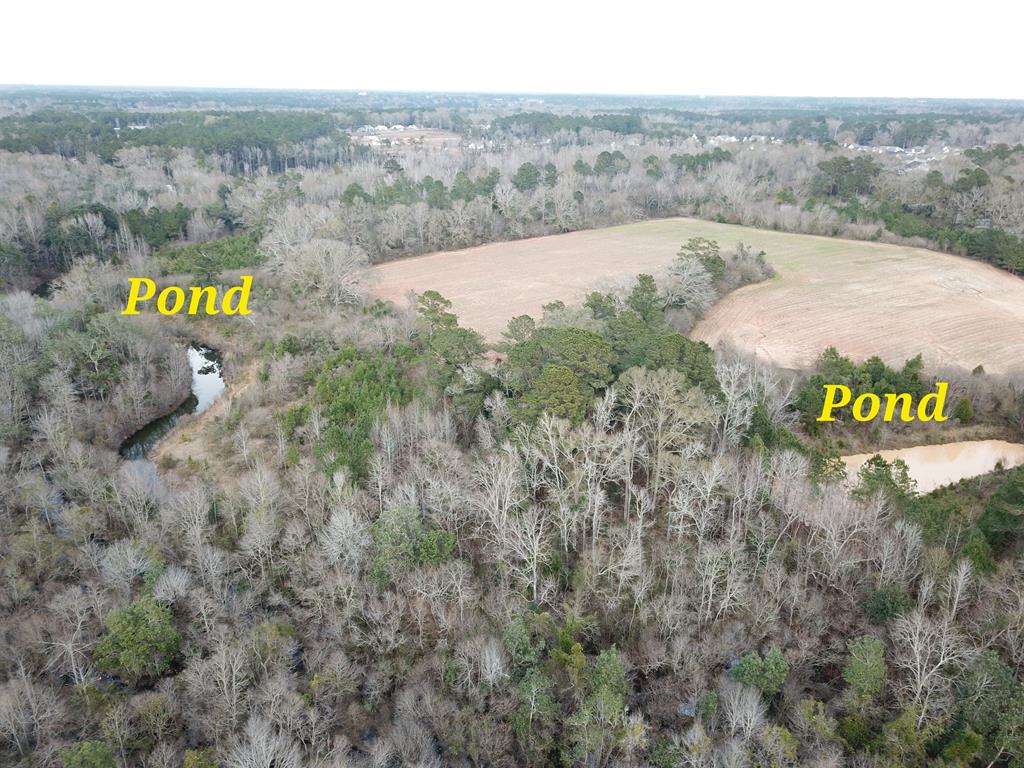 50.45-acres Trawick Road Dothan, AL 36301 - Photo 4 of 62