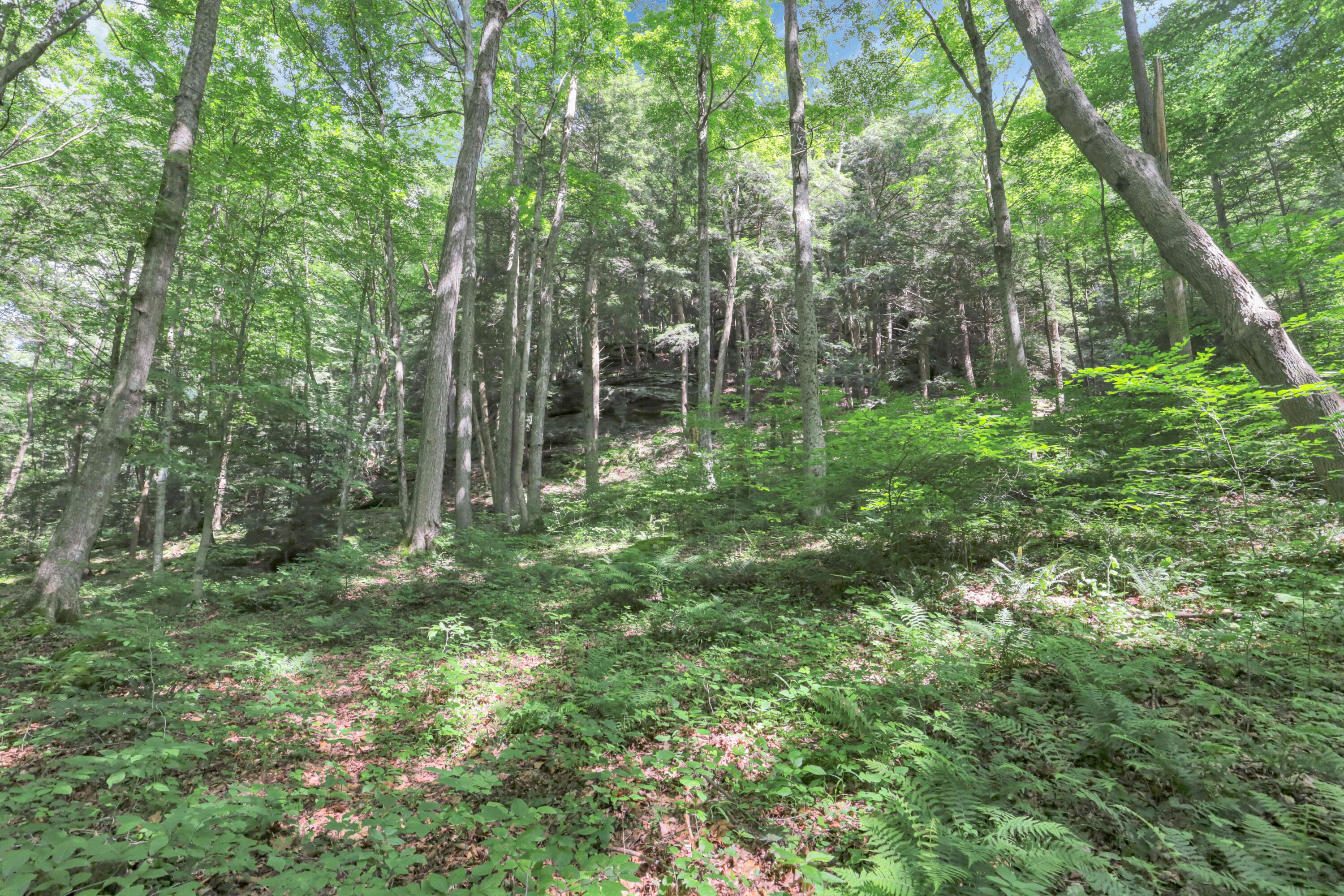 24138 Huffines Road Rockbridge, OH 43149 - Photo 53 of 74 51-print-IMG_8202