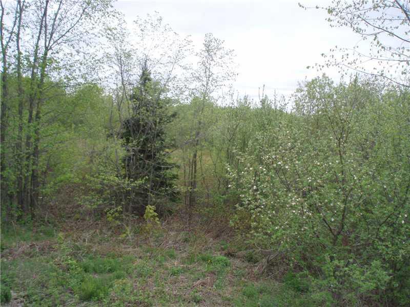 11-12 South Patten Road Patten, ME 04765 - Photo 2 of 6 Land.