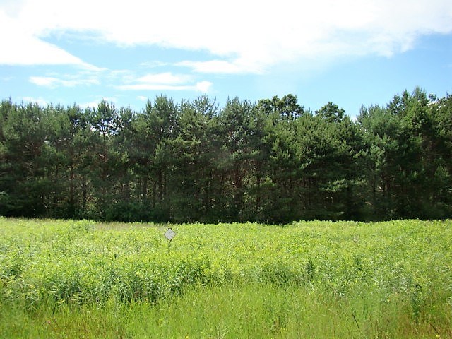 Lot #26 Prairie River Merrill, WI 54452 - Photo 1 of 1