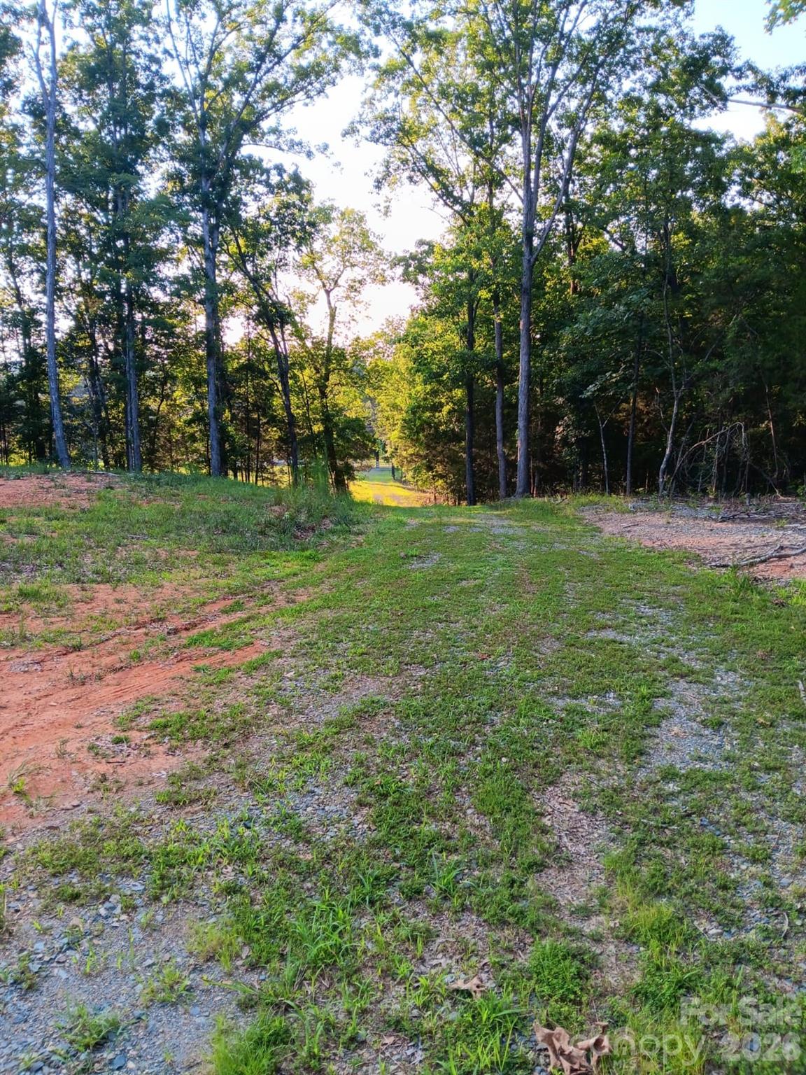 11610 Brief Road, Unit 2 Charlotte, NC 28227 - Photo 15 of 16 a view of a field with trees