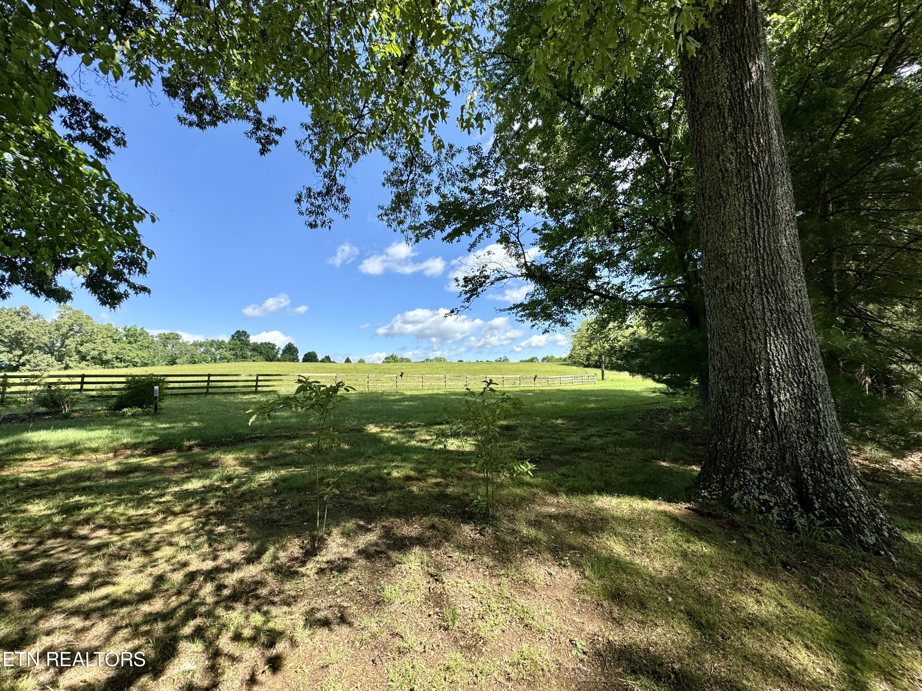 785 Grimes Road Loudon, TN 37774 - Photo 42 of 60 42