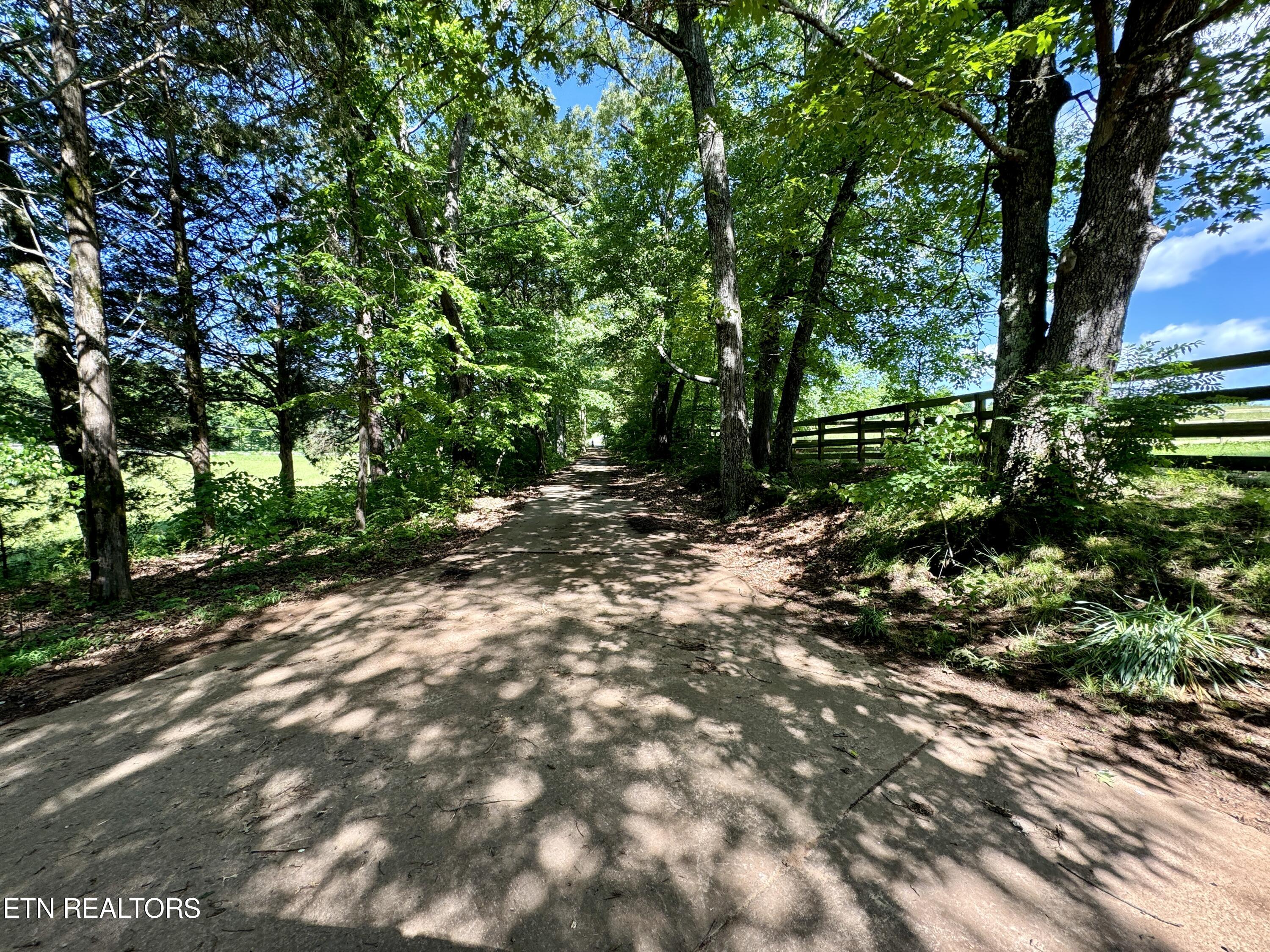 785 Grimes Road Loudon, TN 37774 - Photo 44 of 60 44