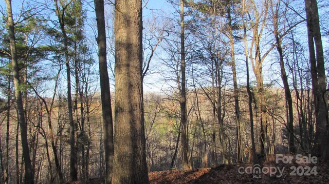 a backyard of a house with lots of green space and chair