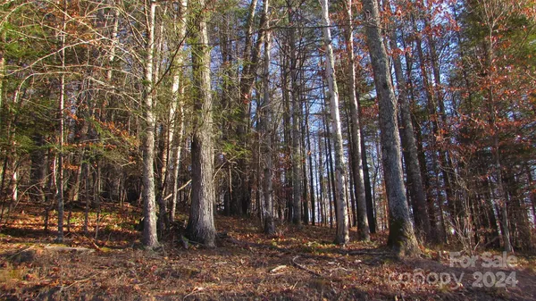 a view of yard with green space