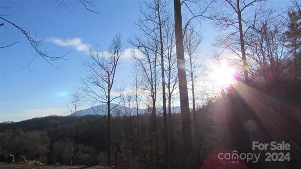 a view of mountain view with tall trees