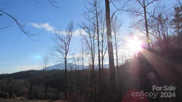 a view of mountain view with tall trees
