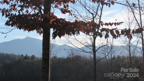 $68,000 | 0 High Peak Drive, Unit 61, Green Mountain, NC 28740