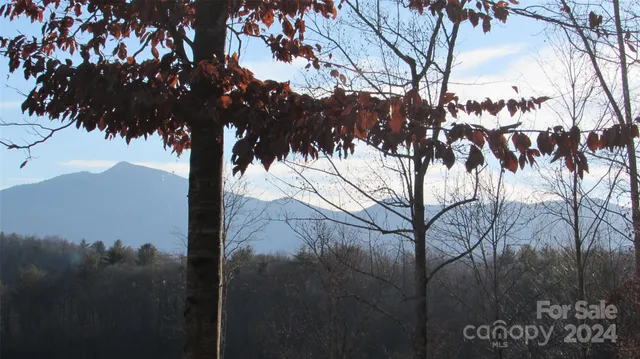 $68,000 | 0 High Peak Drive, Unit 61, Green Mountain, NC 28740