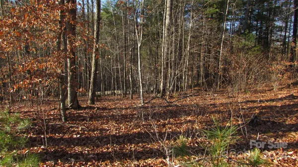 a view of a yard with trees