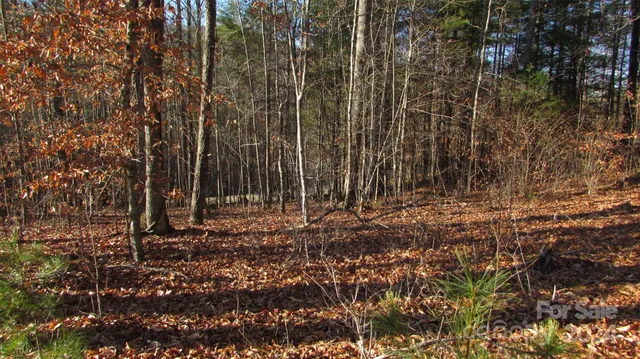 a view of a yard with trees