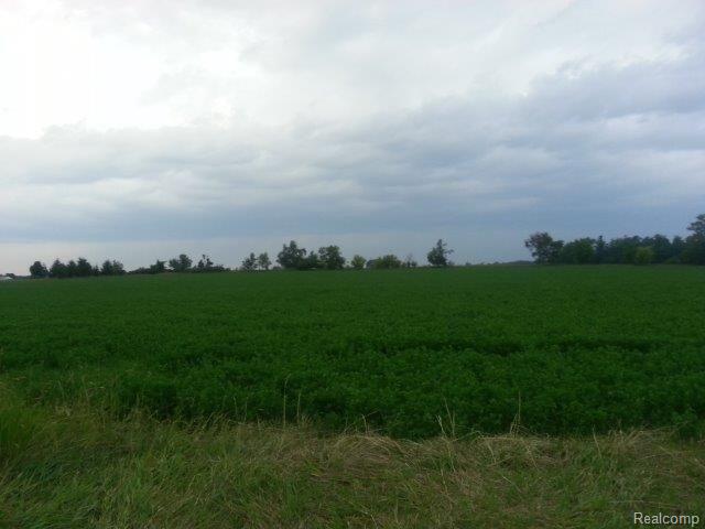 20140714_202710.jpg
